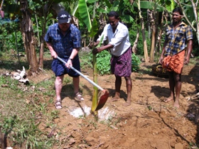 Gain Hands on Experience in farming